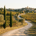 Route des vins de Provence entre vignes et village perché