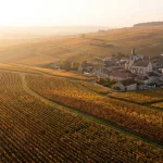 Vignoble de Champagne au coucher du soleil sur la Montagne de Reims