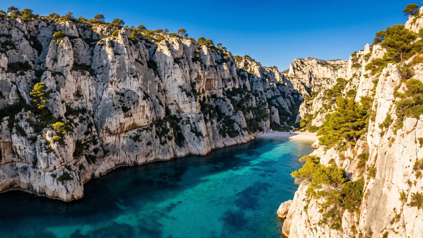 Calanques de Marseille : guide complet (randonnée, bateau, criques)